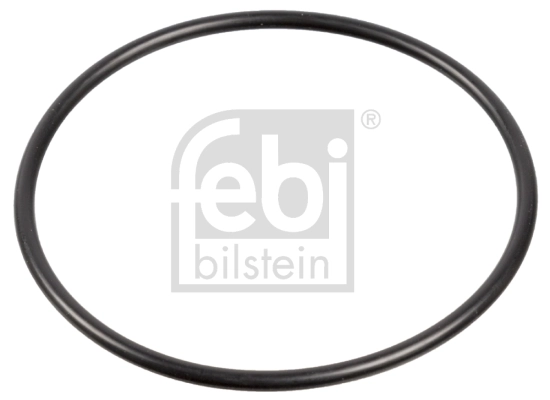 Seal Ring, steering knuckle